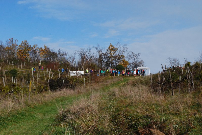 Kros Biljenski 2015 085